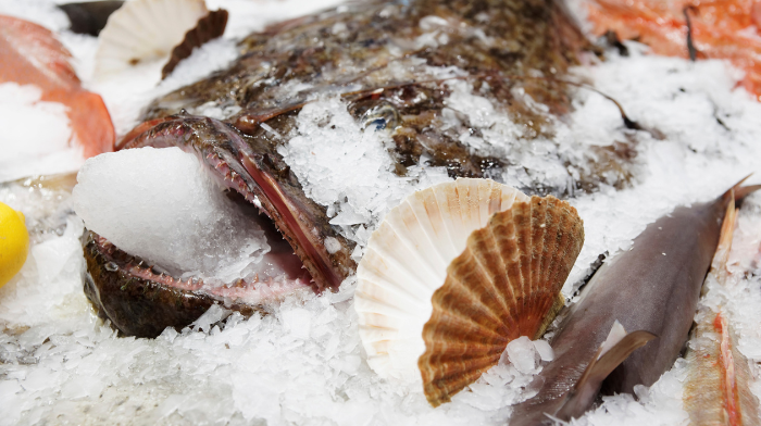 Seafood Expo Global 2024: Your Gateway to International Buyers